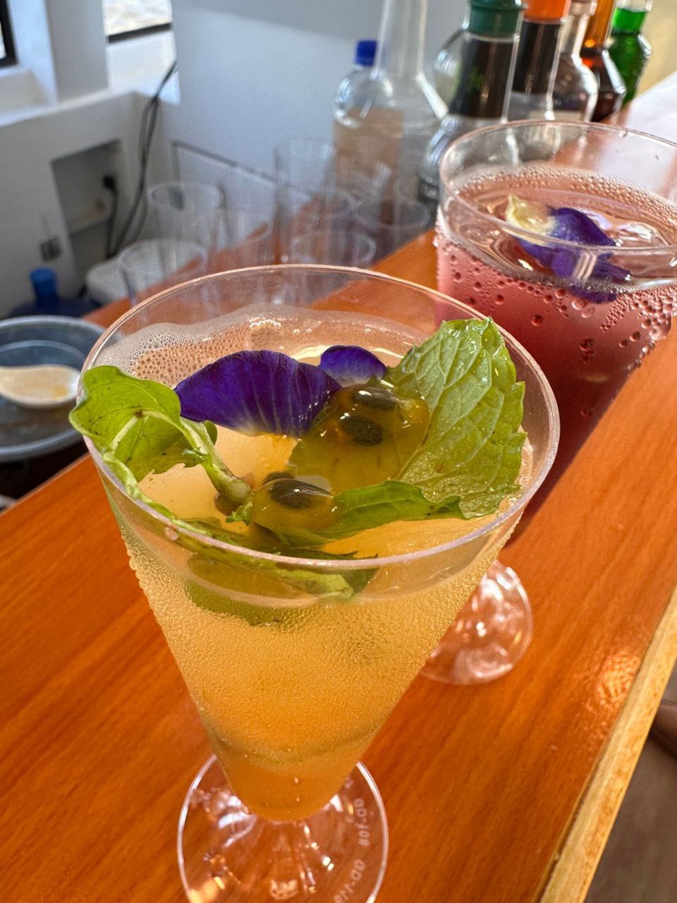 Welcome to magic The Pergola Cruise - Photo 2 - The Pergola Cruise Experience